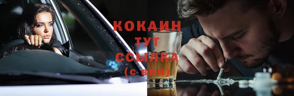 МДПВ Сосновка