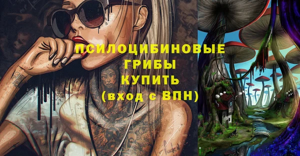 spice Сосновоборск