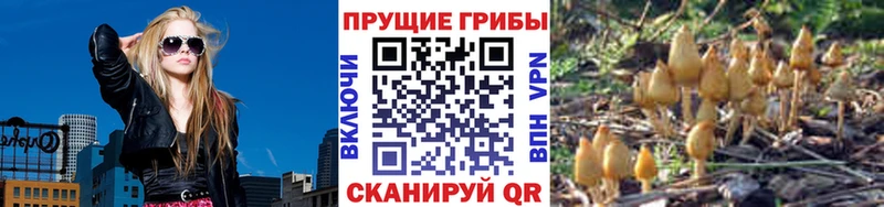Галлюциногенные грибы Magic Shrooms  Купить  Туймазы 
