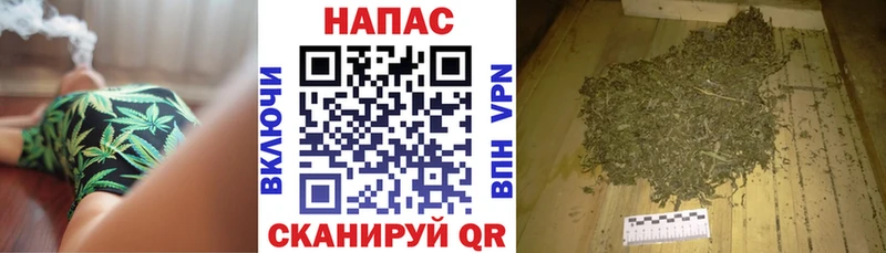 Бошки Шишки конопля  Купить где  Туймазы 